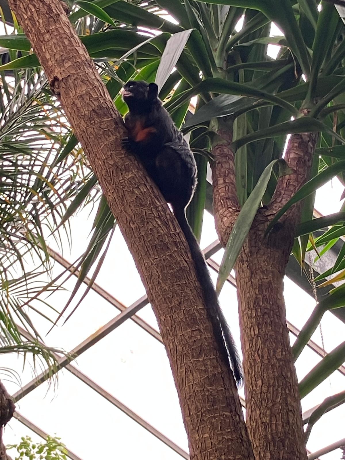 Foto 19 bij artikel "Uitje naar de Orchideenhoeve in Luttelgeest".